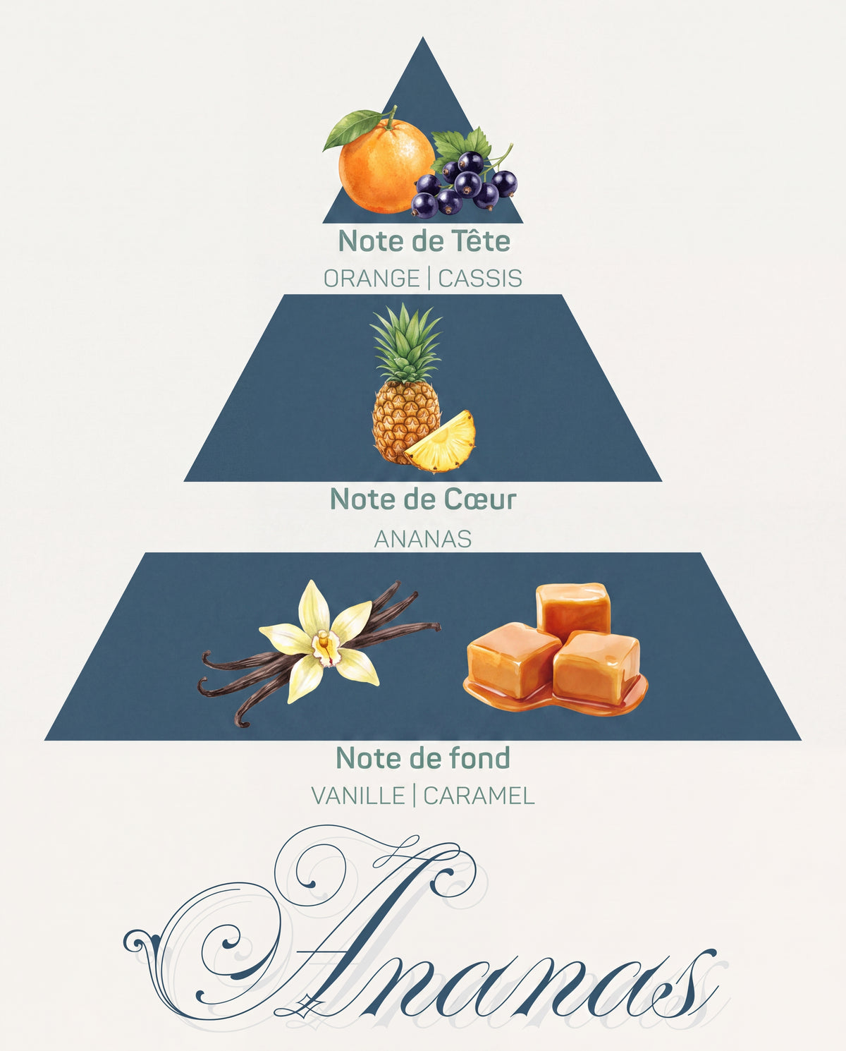 Pyramide olfactive Ananas : tête orange et cassis, cœur ananas juteux, fond vanille et caramel