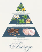 Pyramide olfactive Ancrage : tête bergamote et verveine, cœur freesia et menthe, fond musc poudré