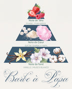 Pyramide olfactive Barbe à Papa : tête fraise et framboise, cœur sucre et barbe à papa, fond vanille et muscs blancs