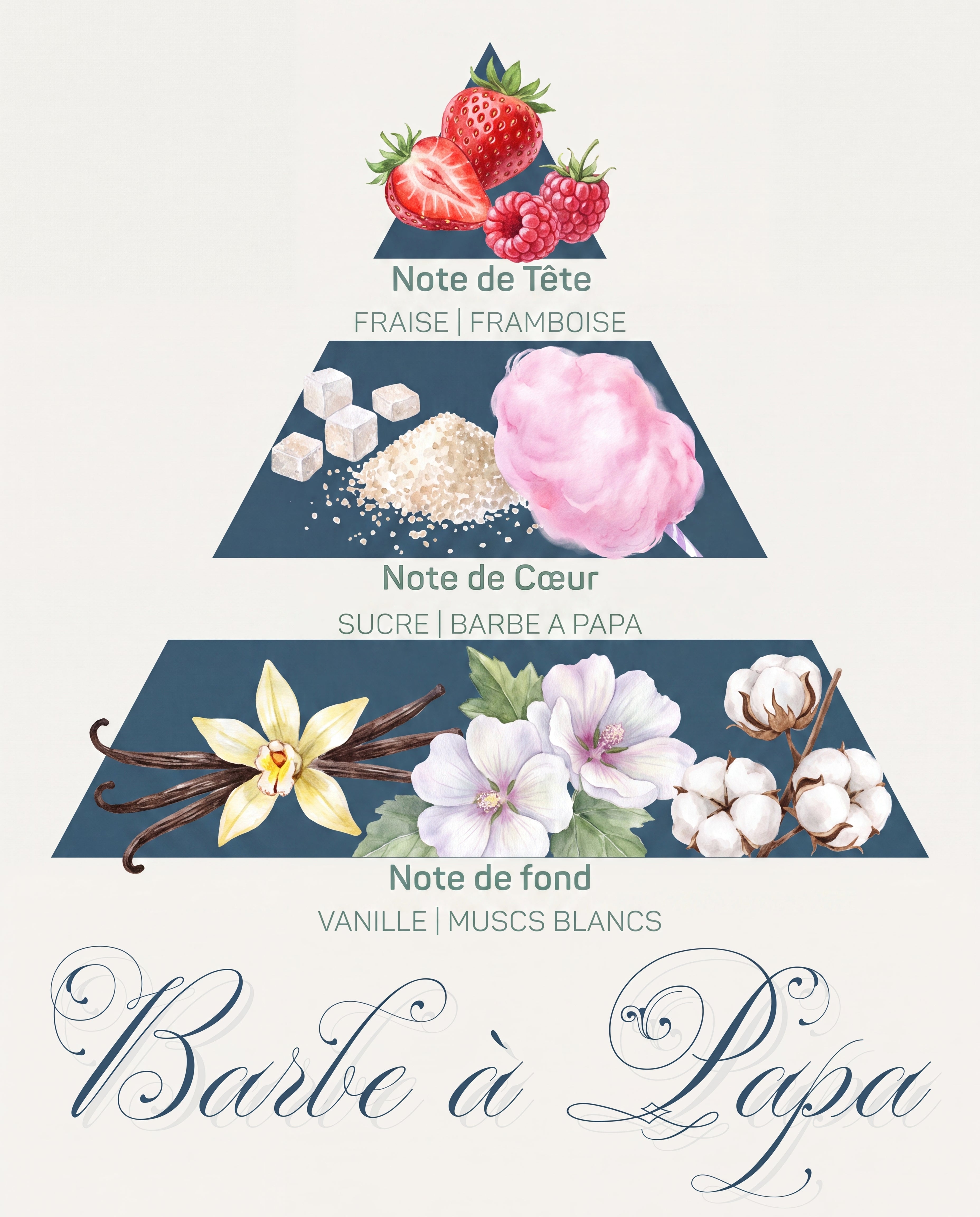 Pyramide olfactive Barbe à Papa : tête fraise et framboise, cœur sucre et barbe à papa, fond vanille et muscs blancs