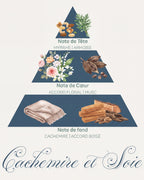 Pyramide olfactive Cachemire et Soie : tête myrrhe et armoise, cœur floral musqué, fond cachemire boisé