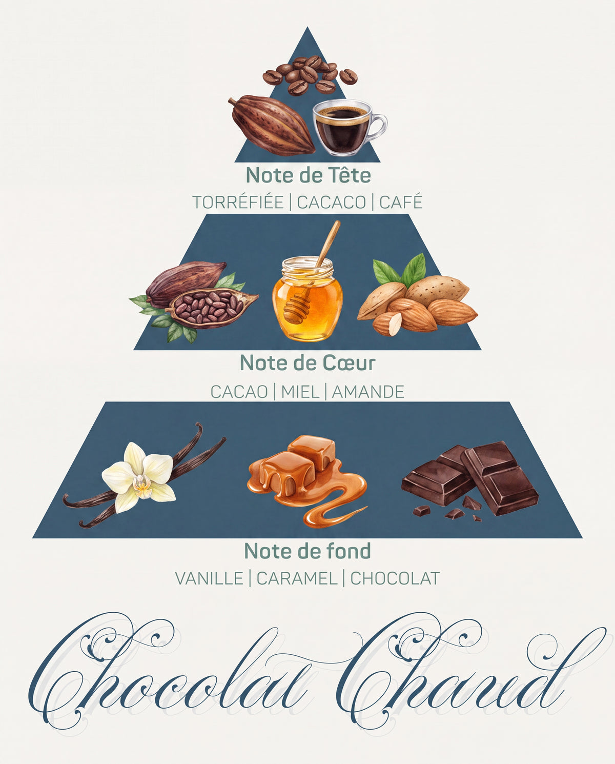 Pyramide olfactive Chocolat Chaud : tête cacao et café, cœur cacao et amande, fond vanille et chocolat