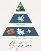 Pyramide olfactive Confiance : tête bergamote et pêche, cœur jasmin, fond santal, muscs blancs et vanille
