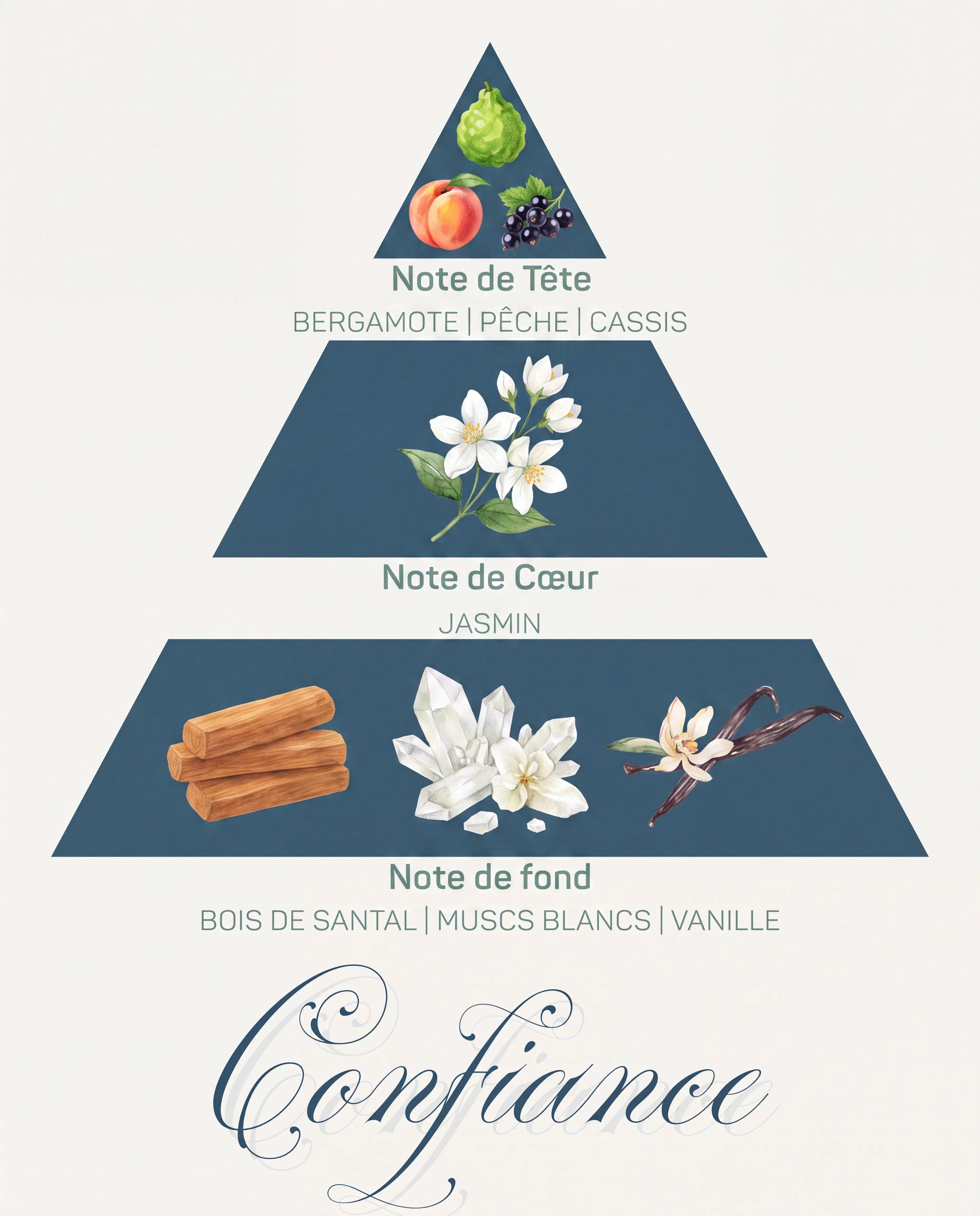 Pyramide olfactive Confiance : tête bergamote et pêche, cœur jasmin, fond santal, muscs blancs et vanille