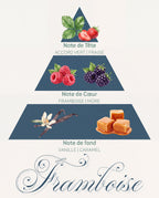 Pyramide olfactive Framboise : tête fraise et accord vert, cœur framboise et mûre, fond vanille et caramel