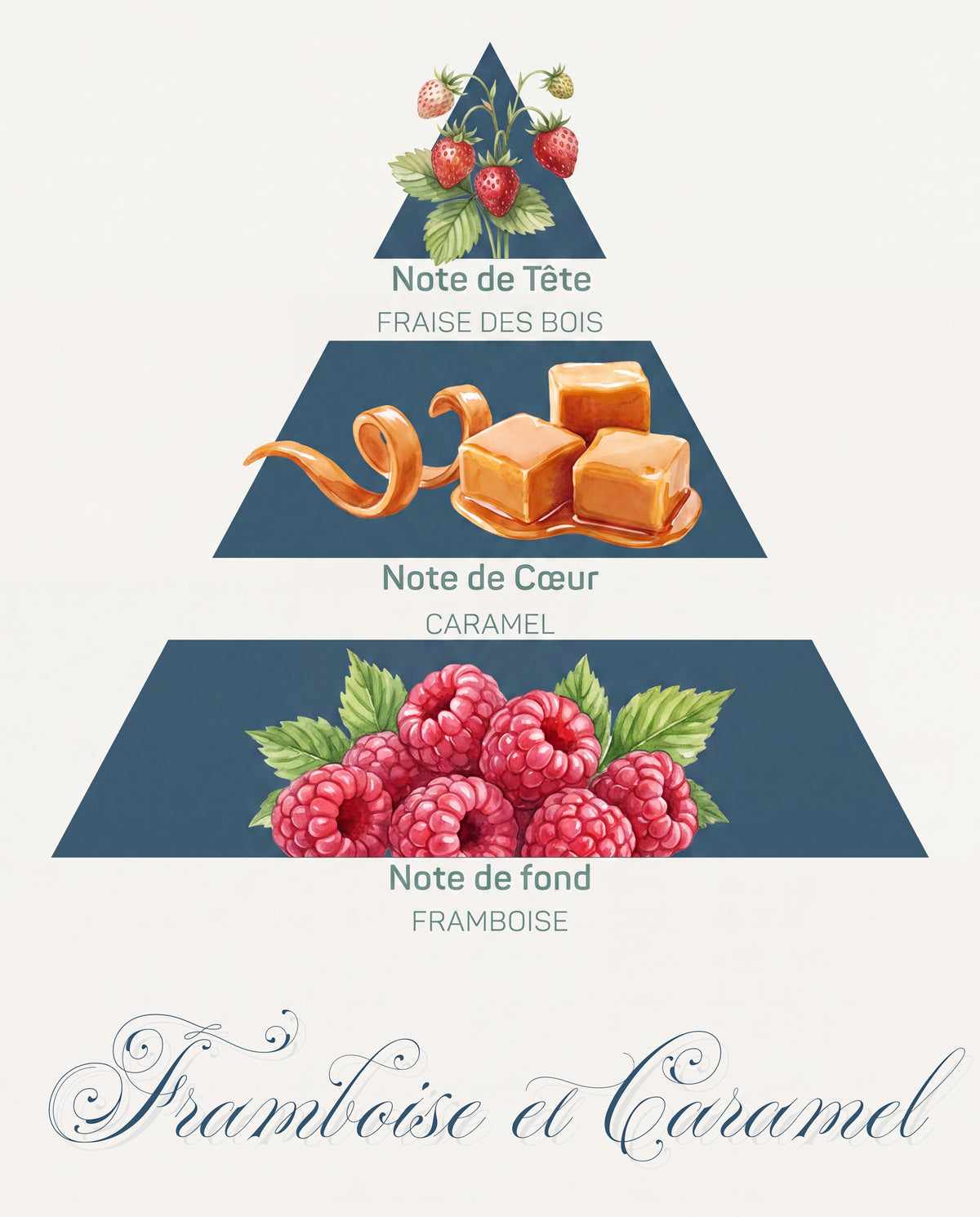 Pyramide olfactive Framboise et Caramel : tête fraise des bois, cœur caramel, fond framboise