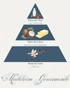 Pyramide olfactive Madeleine Gourmande : tête lait et praline, cœur coco et beurre, fond vanille