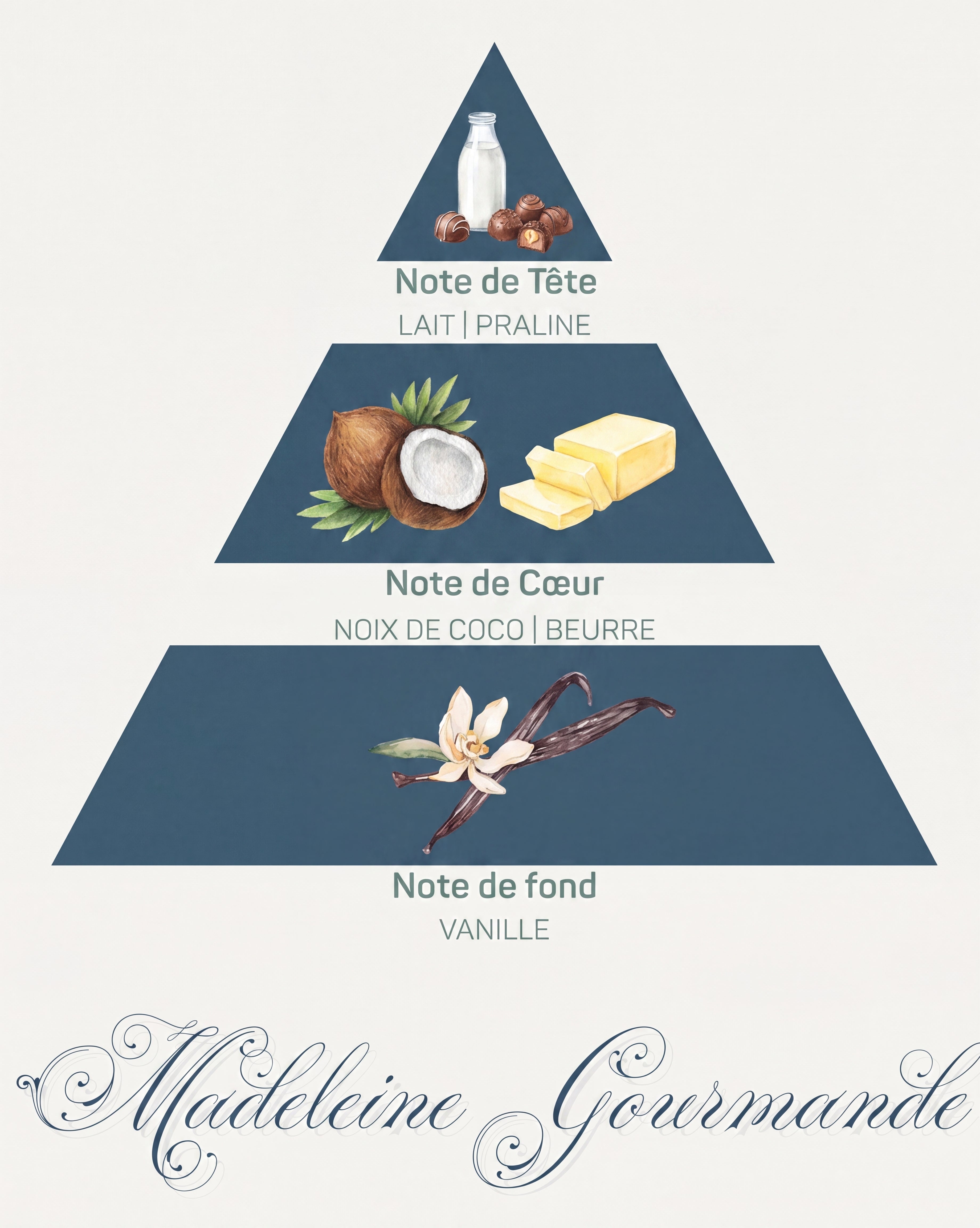 Pyramide olfactive Madeleine Gourmande : tête lait et praline, cœur coco et beurre, fond vanille