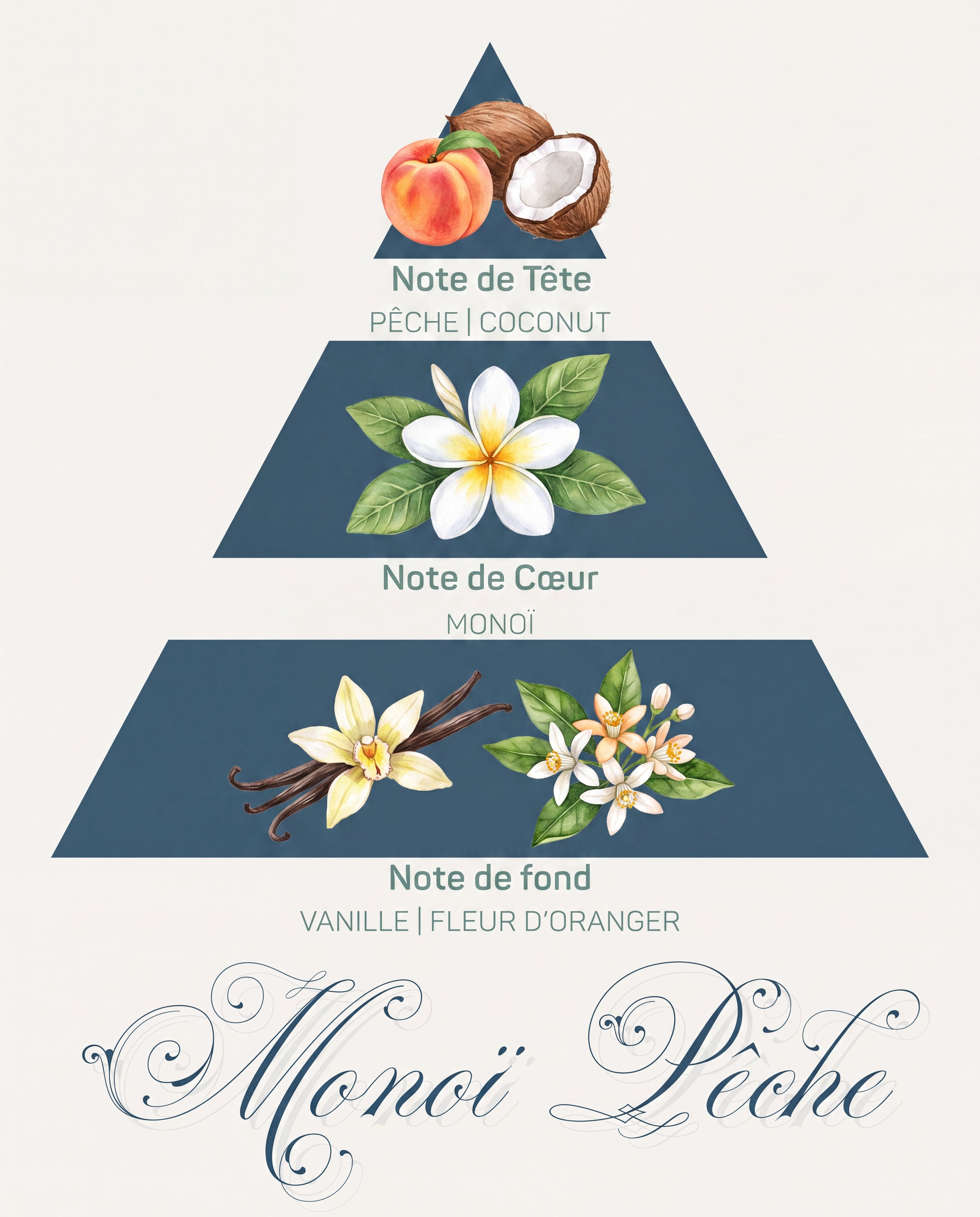 Pyramide olfactive Monoï Pêche : tête pêche et coco, cœur monoï, fond vanille et fleur d'oranger