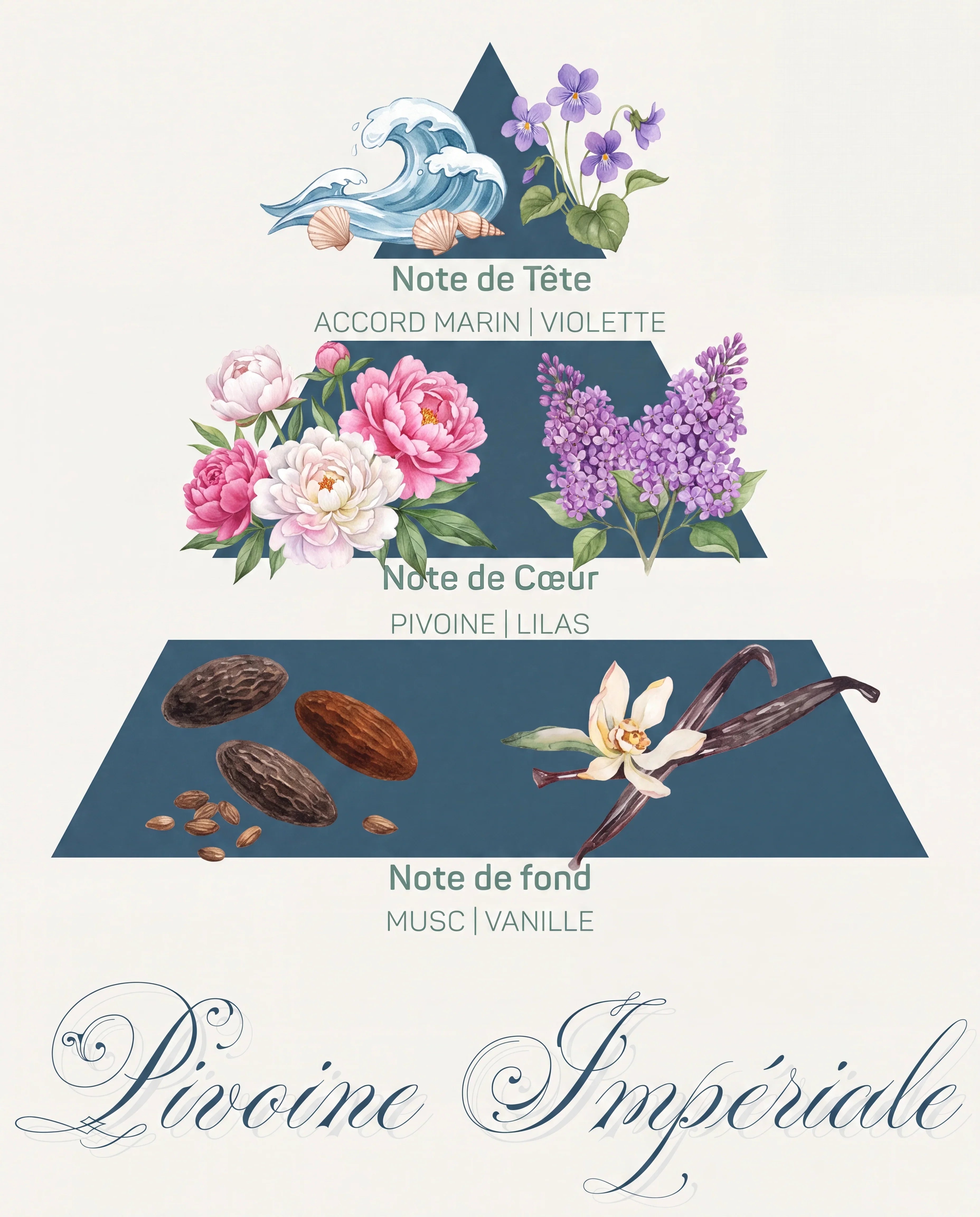 Pyramide olfactive Pivoine Impériale : tête accord marin et violette, cœur pivoine et lilas, fond musc et vanille