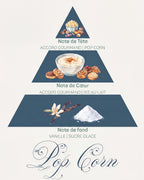 Pyramide olfactive Pop Corn : tête accord gourmand pop corn, cœur riz au lait, fond vanille et sucre glace