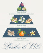 Pyramide olfactive Poudre de Bébé : tête baie rose et verveine, cœur fleur d'oranger et jasmin, fond musc et vanille