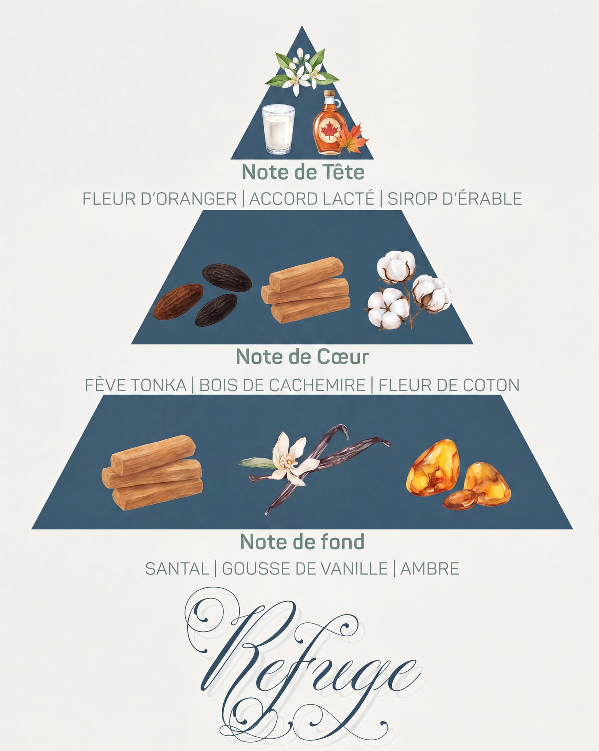 Pyramide olfactive Refuge : tête fleur d'oranger et sirop d'érable, cœur fève tonka et coton, fond santal et ambre