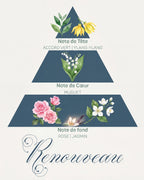Pyramide olfactive Renouveau : tête accord vert et ylang-ylang, cœur muguet, fond rose et jasmin