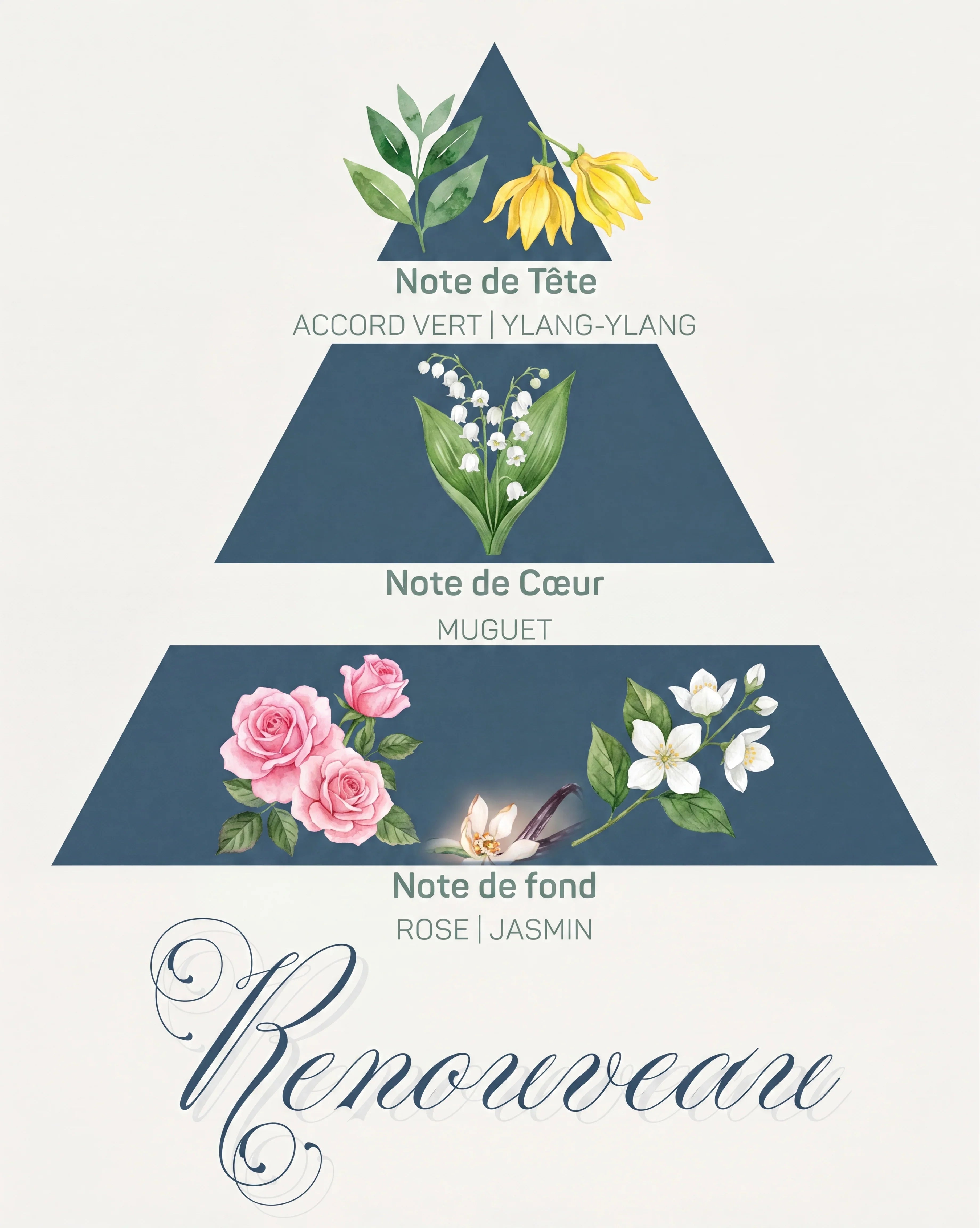 Pyramide olfactive Renouveau : tête accord vert et ylang-ylang, cœur muguet, fond rose et jasmin
