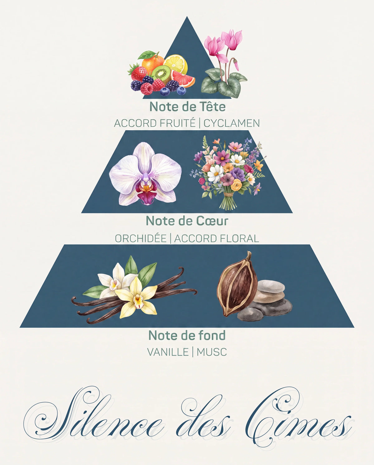 Pyramide olfactive Silence des Cimes : tête accord fruité et cyclamen, cœur orchidée, fond vanille et musc