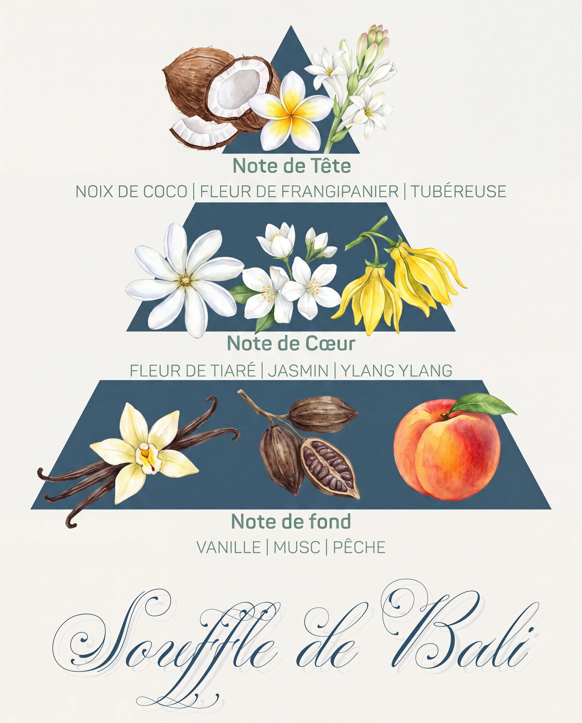 Pyramide olfactive Souffle de Bali : tête coco et frangipanier, cœur tiaré et jasmin, fond vanille et musc
