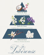 Pyramide olfactive Tubéreuse : tête coco et fleur de pêcher, cœur tubéreuse et jasmin, fond vanille et muscs blancs