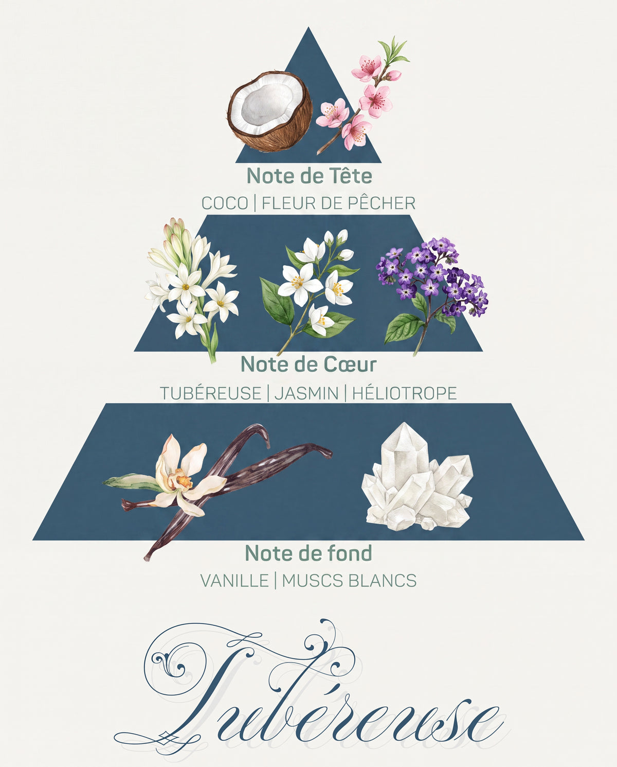 Pyramide olfactive Tubéreuse : tête coco et fleur de pêcher, cœur tubéreuse et jasmin, fond vanille et muscs blancs
